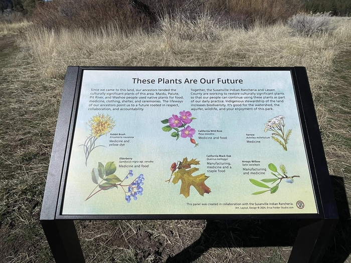 Honey Lake Valley Resource Conservation District, Susanville Ranch Park Restoration