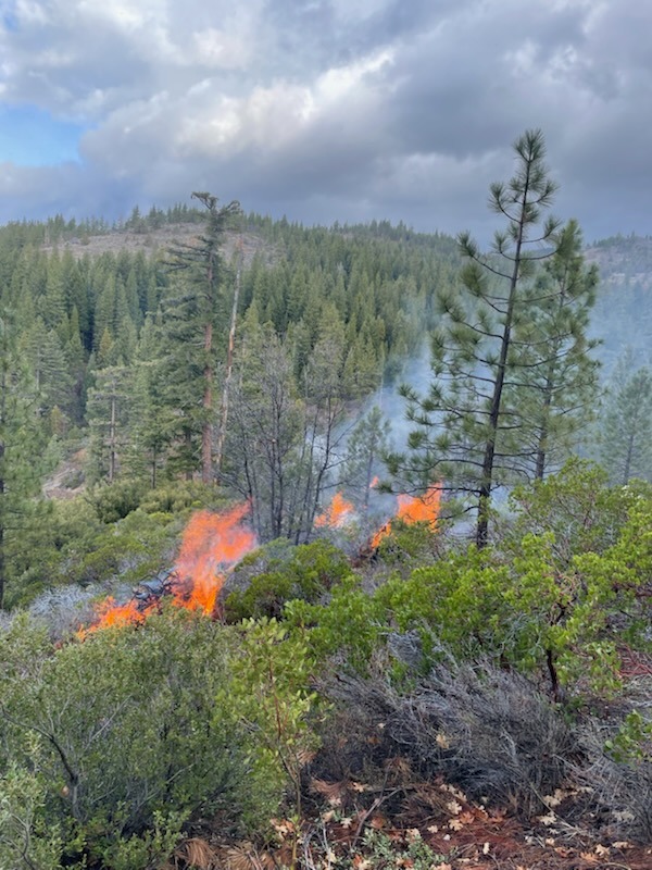 Pile Burning Operations Underway in Plumas National Forest