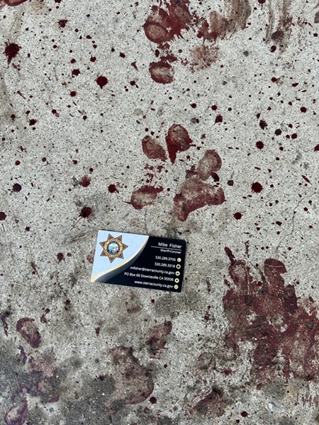 Sierra County Sheriff Press Release