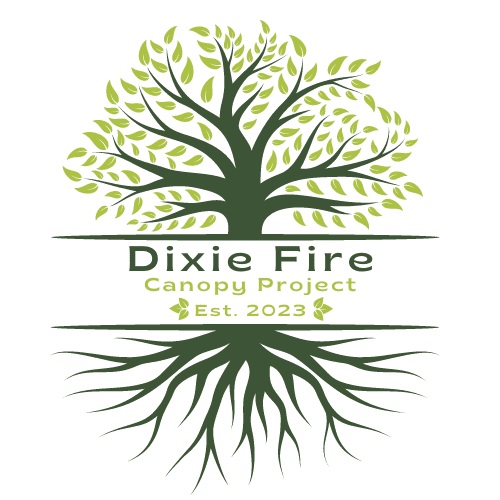 The Dixie Fire Canopy Project