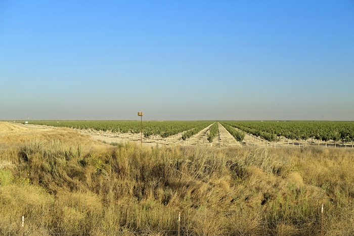 California Farmland Values Plummet as Water Concerns and Market Pressures Intensify