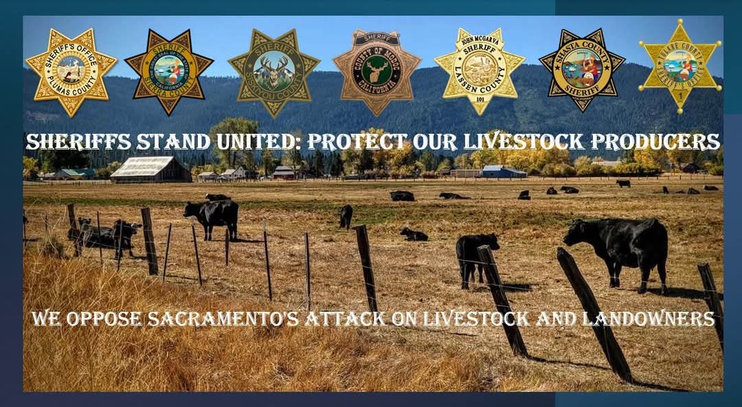 Sheriffs Unite Against New Predator Management Restrictions Threatening Livestock Producers
