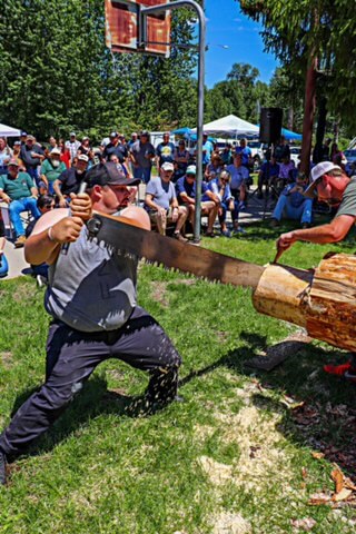 Join the Excitement at the Big Time Logging Jamboree in Chester on June 7