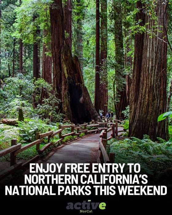 Explore National Parks for Free During National Park Week April 19 to 27