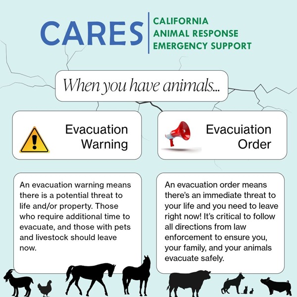Wildfire Preparedness Tips for Animal Owners in California