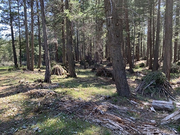 Prescribed Burning Planned Starting Tomorrow at Paradise Lake