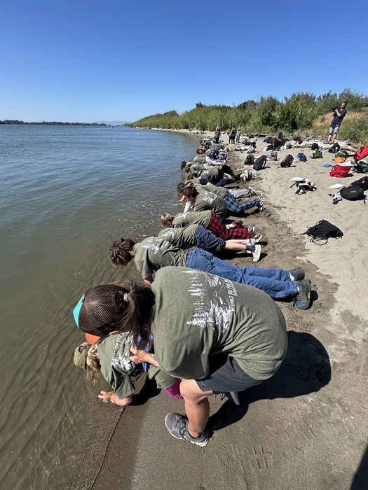 Quincy Elementary 6th Graders Explore Watershed Journey from Plumas to Pacific