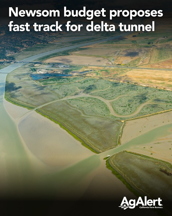 California Governor Newsom Unveils $322 Billion Budget Plan Amid $12 Billion Deficit