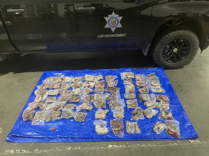 CDFW Unit Recognized for Successful Conviction in Illegal Lamprey Selling Case