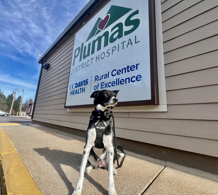 Plumas District Hospital Launches Pet Assisted Therapy Program to Enhance Patient Experience