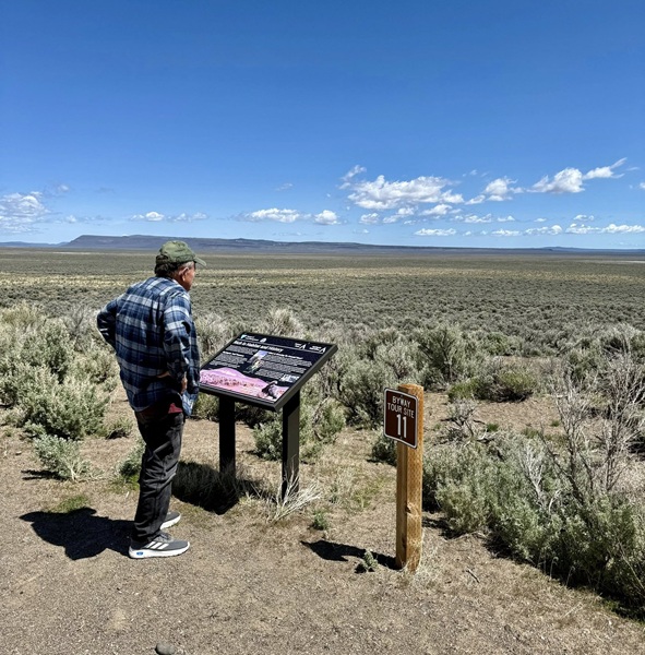 Discover the Great Basin Desert in Cedarville