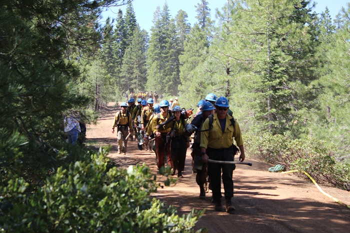 Lassen National Forest Enhances Firefighter Readiness with Annual Training and Emergency Response Drill