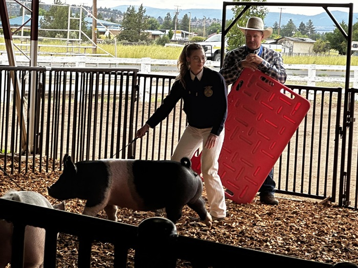 Adelia Martinez Wins Senior Swine Showmanship Again at Modoc County Junior Livestock Show