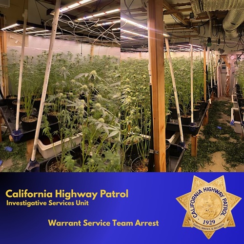 Authorities Uncover Illegal Marijuana Operation in Anderson California
