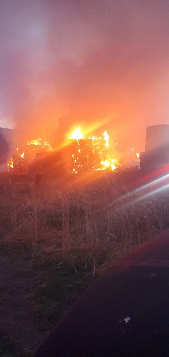 Firefighters Tackle One Acre Blaze in South Doyle With Community Support