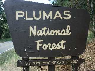 Thunderstorms Spark Lightning Fires in Plumas National Forest Amid Ongoing Weather Monitoring