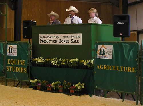 Successful 2025 Feather River College Horse Sale Showcases Talent and Community Spirit
