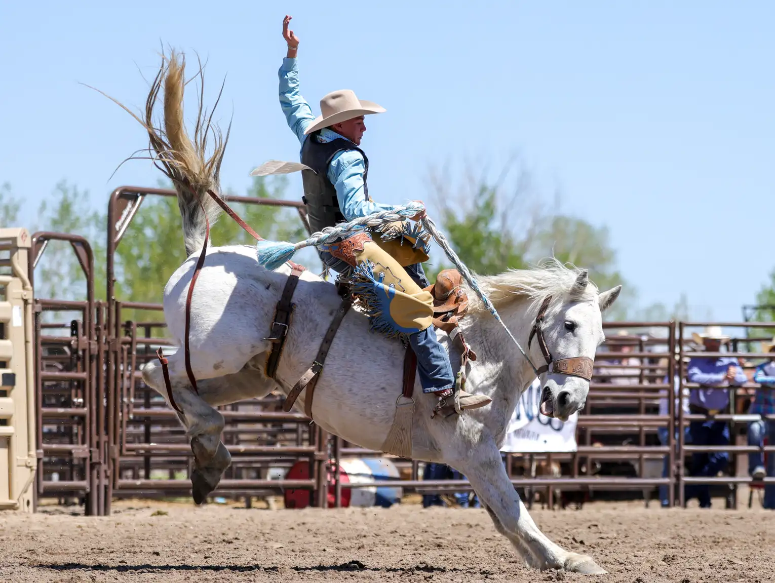 Exciting Events at Fallon PRCA Rodeo Week Featuring Team Roping and Barrel Racing