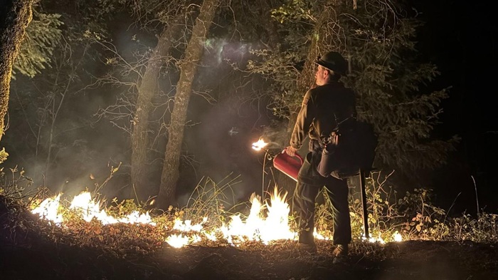 Shasta County Green Fire Update