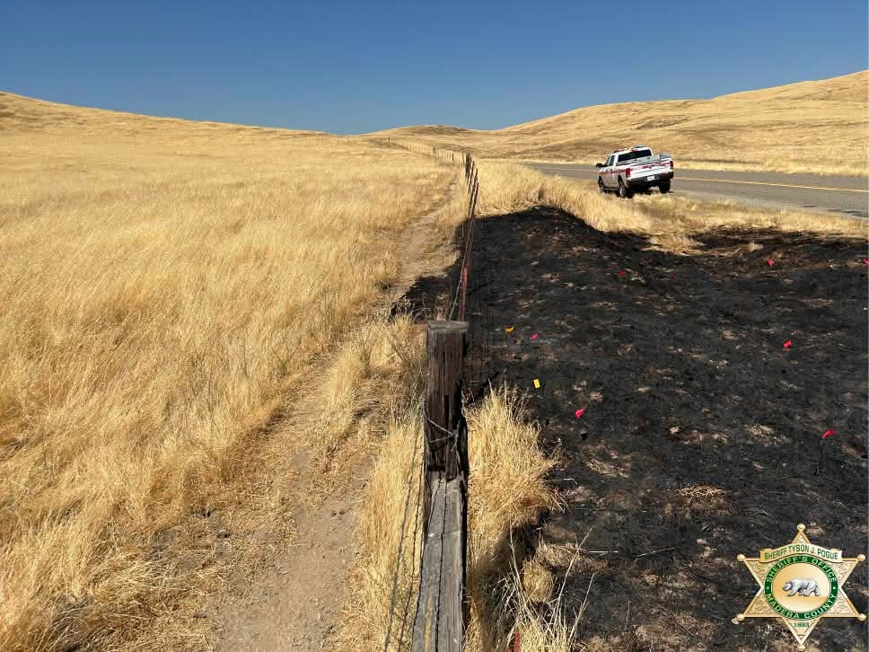 Arson Suspect Arrested After Vegetation Fire Near Road 400