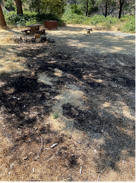 Firefighters Urge Caution After Surge in Abandoned Campfires in Plumas National Forest