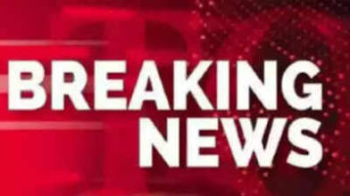 Fire Destroys Grandstands at Frank Ernaga Field in Memorial Park