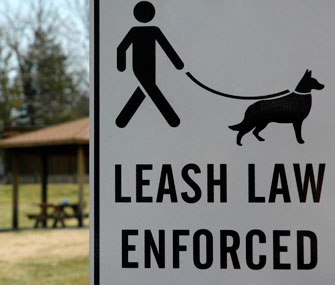 Understanding Dog Regulations and Responsibilities in Modoc County