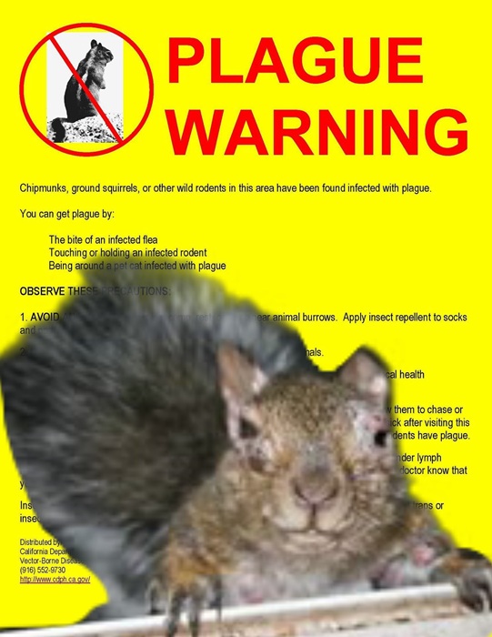 South Lake Tahoe Resident Tests Positive for Bubonic Plague Amid Increased Rodent Cases