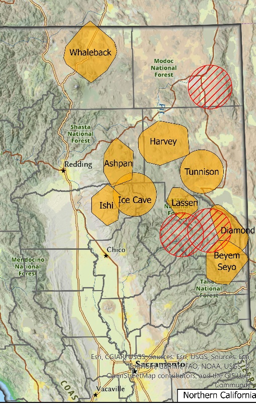 CDFW Releases April to June 2025 Quarterly Wolf News Update