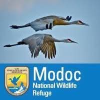 Altered Schedule for South Entrance at Modoc National Wildlife Refuge
