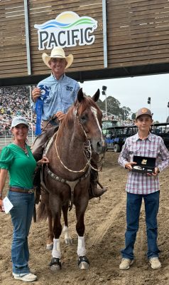 Janesville’s Metallic Touchdown Triumphs at California Rodeo Salinas in Open Bridle Competition