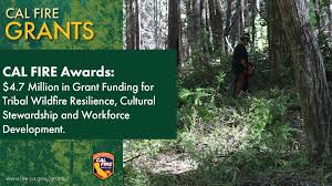 California Invests $4.7 Million in Tribal Wildfire Resilience Projects