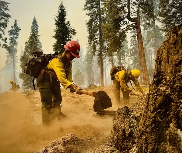 Wildland Fire Update and Suicide Prevention Awareness September 2025