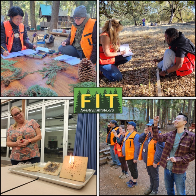 FIT Focus Immersive Forest Education Workshop for Educators in October