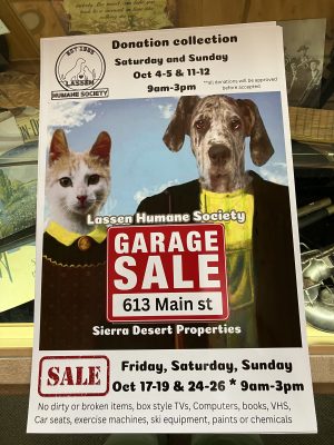 Support Lassen Humane Society by Donating Items for October Garage Sale in Susanville