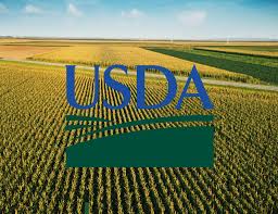 USDA Announces September 2025 Farm Loan Interest Rates for Agricultural Producers