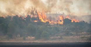 Garnet Fire Containment Advances Protecting Giant Sequoias and Key Areas