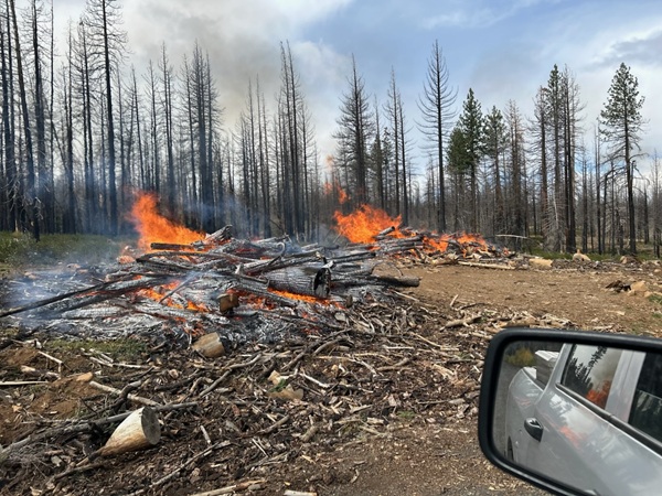 Plumas National Forest Firefighters Begin Pile Burning Operations