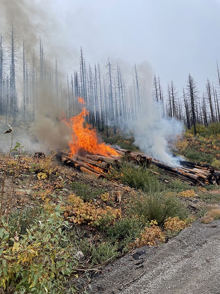 Pile burning continues this week on Plumas National Forest