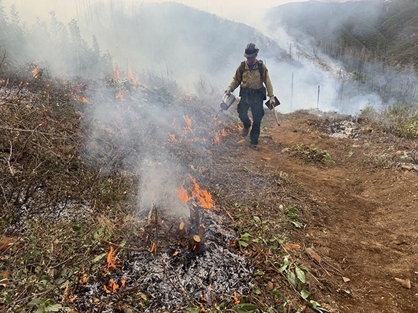 Plumas National Forest Plans Fall Prescribed Burns