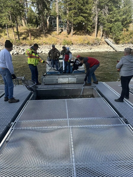 Lake Almanor Fish Pens Stocked with Thousands of Trout for Spring Release