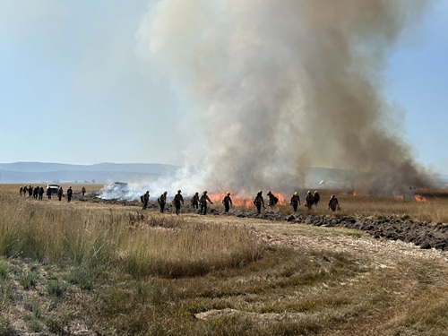 CAL FIRE Prescribed Burn in Ash Creek
