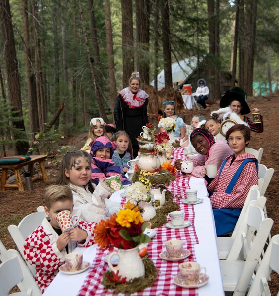 Gallery of the Woods Celebrates Art and Nature in Plumas County