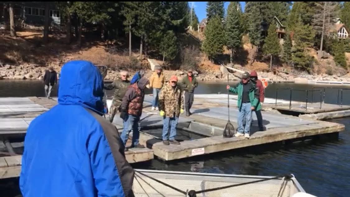 Volunteer Needed for AFA Fish Pen Program Fish Delivery at Lake Haven Resort
