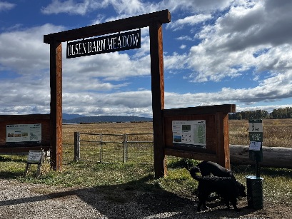 New Dog Waste Station Installed at Olsen Barn Meadow to Keep Trails Clean