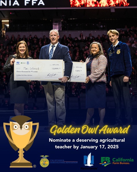 The Golden Owl Award