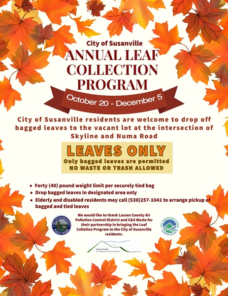Reminder – Annual Leaf Collection Program