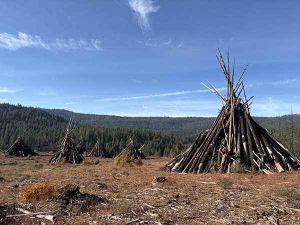 Community Town Hall on Upcoming Prescribed Fire Operations in Plumas County
