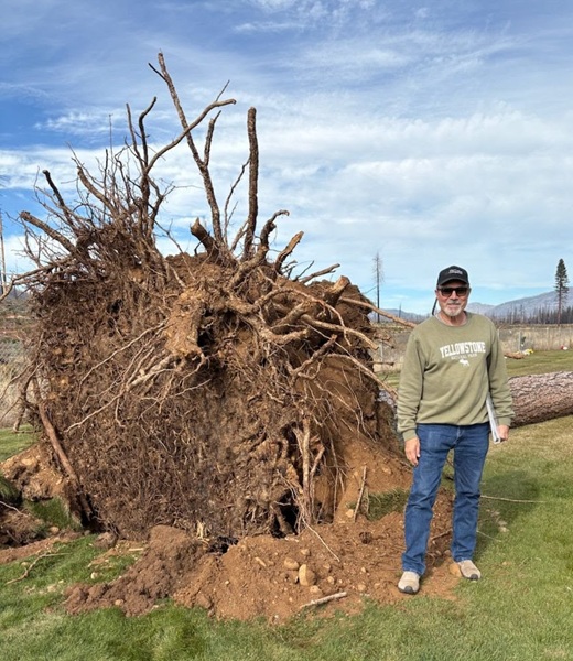 Chester Cemetery Seeks Funds for Storm-Damaged Tree Removal After Dixie Fire Recovery