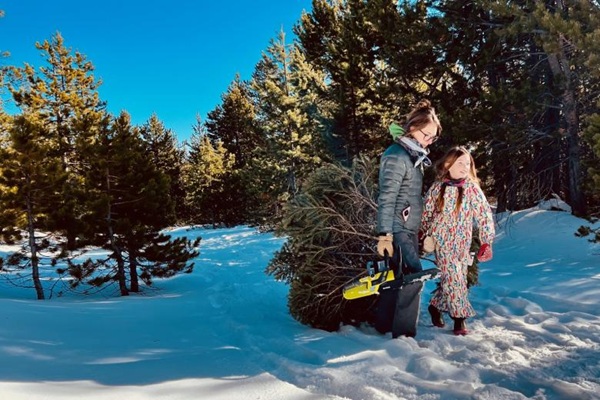 Interior Department rolls out one dollar, one tree holiday savings on public lands